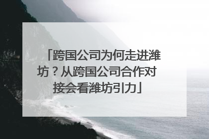 跨国公司为何走进潍坊？从跨国公司合作对接会看潍坊引力