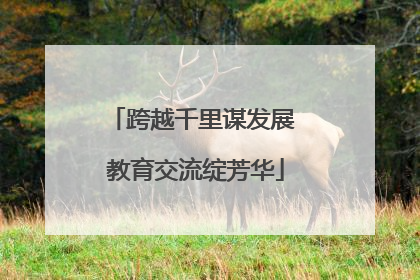 跨越千里谋发展 教育交流绽芳华