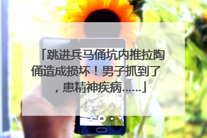 跳进兵马俑坑内推拉陶俑造成损坏！男子抓到了，患精神疾病……