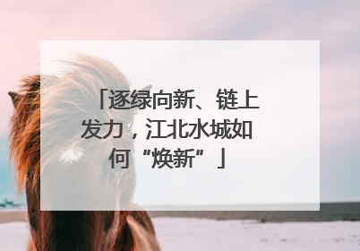 逐绿向新、链上发力，江北水城如何“焕新”