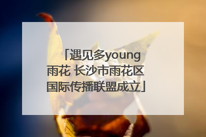 遇见多young雨花 长沙市雨花区国际传播联盟成立