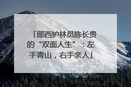 郧西护林员陈长贵的“双面人生”：左手青山，右手亲人