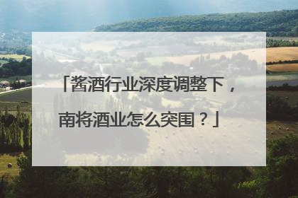 酱酒行业深度调整下，南将酒业怎么突围？