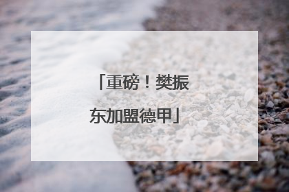 重磅！樊振东加盟德甲
