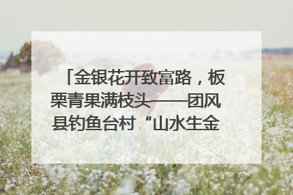 金银花开致富路，板栗青果满枝头——团风县钓鱼台村“山水生金”谱写共富新篇章