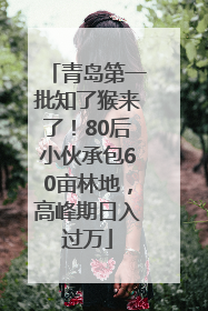 青岛第一批知了猴来了！80后小伙承包60亩林地，高峰期日入过万