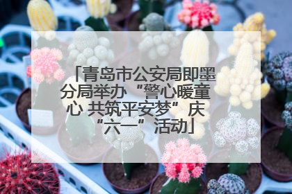 青岛市公安局即墨分局举办“警心暖童心 共筑平安梦”庆“六一”活动