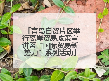 青岛自贸片区举行离岸贸易政策宣讲暨“国际贸易新势力”系列活动