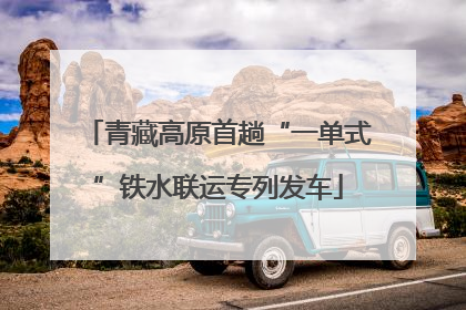 青藏高原首趟“一单式”铁水联运专列发车