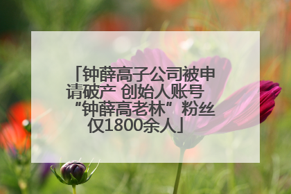 钟薛高子公司被申请破产 创始人账号“钟薛高老林”粉丝仅1800余人