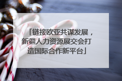 链接欧亚共谋发展，新疆人力资源展交会打造国际合作新平台