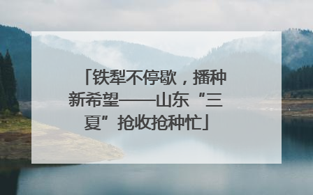 铁犁不停歇，播种新希望——山东“三夏”抢收抢种忙