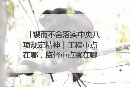 锲而不舍落实中央八项规定精神｜工程重点在哪，监督重点就在哪——广西深化政治监督护航平陆运河建设