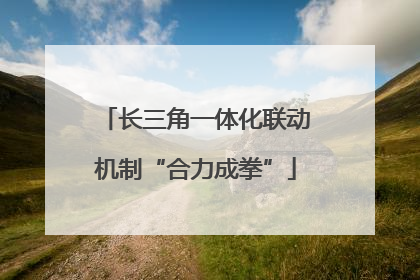长三角一体化联动机制“合力成拳”