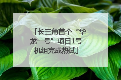 长三角首个“华龙一号”项目1号机组完成热试