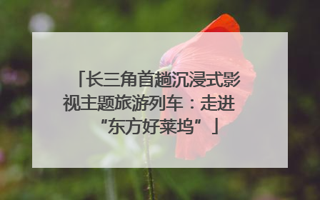 长三角首趟沉浸式影视主题旅游列车：走进“东方好莱坞”
