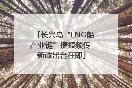 长兴岛“LNG船产业链”捷报频传 新政出台在即
