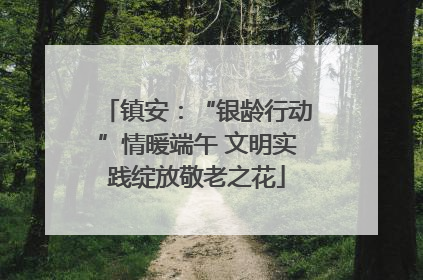 镇安：“银龄行动”情暖端午 文明实践绽放敬老之花