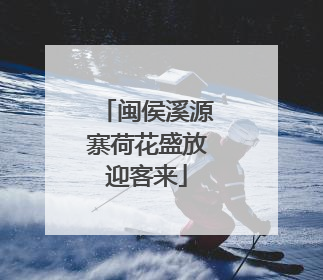 闽侯溪源寨荷花盛放迎客来