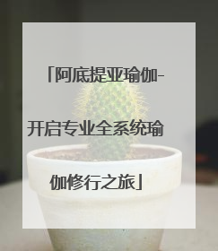 阿底提亚瑜伽-开启专业全系统瑜伽修行之旅