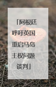 阿根廷呼吁英国重启马岛主权问题谈判