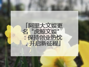 阿里大文娱更名“虎鲸文娱”：保持创业热忱，开启新征程