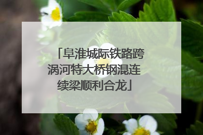阜淮城际铁路跨涡河特大桥钢混连续梁顺利合龙