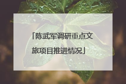 陈武军调研重点文旅项目推进情况