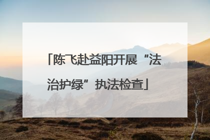 陈飞赴益阳开展“法治护绿”执法检查