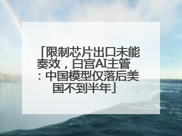 限制芯片出口未能奏效，白宫AI主管：中国模型仅落后美国不到半年