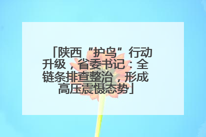 陕西“护鸟”行动升级，省委书记：全链条排查整治，形成高压震慑态势
