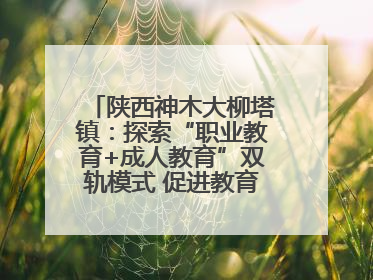 陕西神木大柳塔镇：探索“职业教育+成人教育”双轨模式 促进教育融合发展