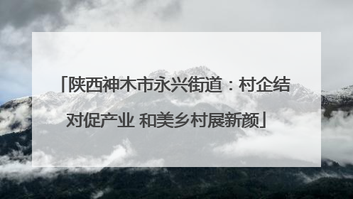 陕西神木市永兴街道：村企结对促产业 和美乡村展新颜
