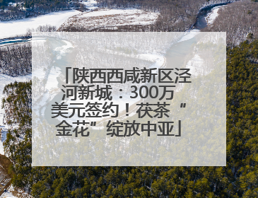 陕西西咸新区泾河新城：300万美元签约！茯茶“金花”绽放中亚