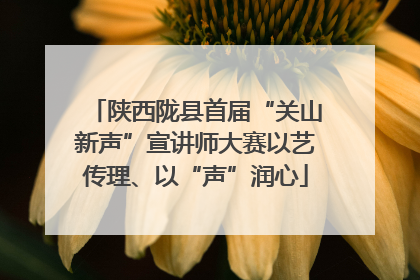 陕西陇县首届“关山新声”宣讲师大赛以艺传理、以“声”润心
