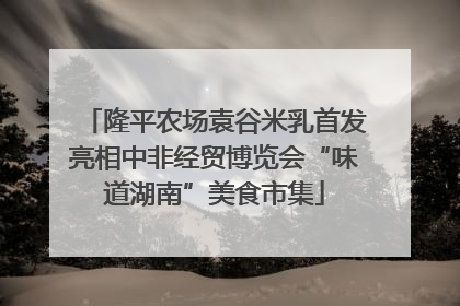 隆平农场袁谷米乳首发亮相中非经贸博览会“味道湖南”美食市集