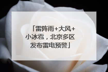 雷阵雨+大风+小冰雹，北京多区发布雷电预警