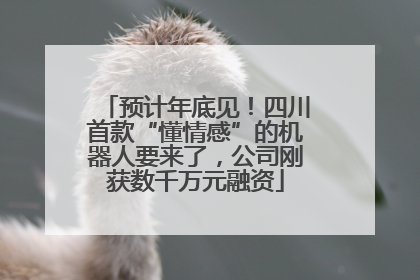 预计年底见！四川首款“懂情感”的机器人要来了，公司刚获数千万元融资