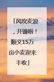 风吹麦浪，开镰啦！顺义15万亩小麦迎来丰收