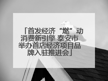 首发经济“燃”动消费新引擎 泰安市举办首店经济项目品牌入驻推进会