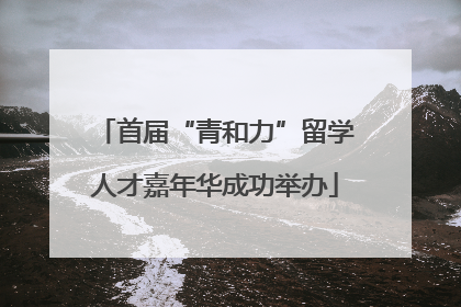 首届“青和力”留学人才嘉年华成功举办