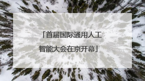 首届国际通用人工智能大会在京开幕
