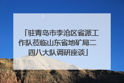 驻青岛市李沧区省派工作队莅临山东省地矿局二四八大队调研座谈
