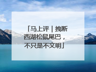 马上评｜拽断西湖松鼠尾巴，不只是不文明