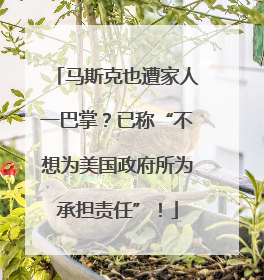 马斯克也遭家人一巴掌？已称“不想为美国政府所为承担责任”！