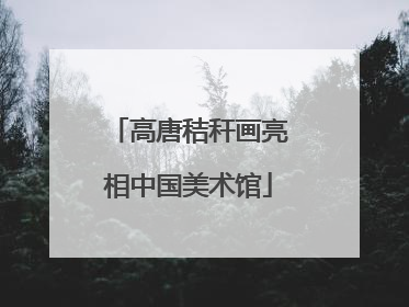 高唐秸秆画亮相中国美术馆