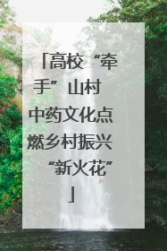 高校“牵手”山村 中药文化点燃乡村振兴“新火花”