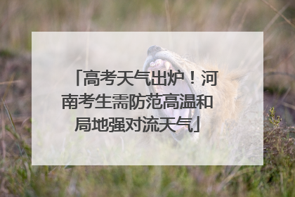 高考天气出炉！河南考生需防范高温和局地强对流天气