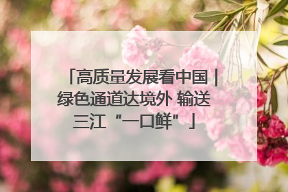 高质量发展看中国｜绿色通道达境外 输送三江“一口鲜”