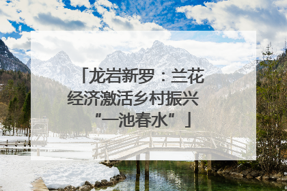 龙岩新罗：兰花经济激活乡村振兴“一池春水”